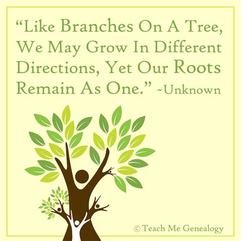 The Branches of Our Lives